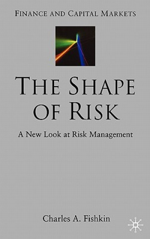 Kniha Shape of Risk Charles A. Fishkin