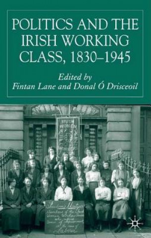 Kniha Politics and the Irish Working Class, 1830-1945 Donal O. Drisceoil