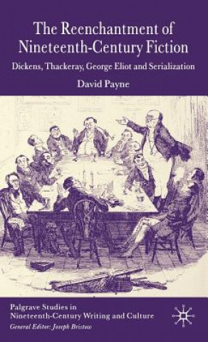 Kniha Reenchantment of Nineteenth-Century Fiction David Payne