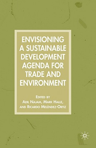 Kniha Envisioning a Sustainable Development Agenda for Trade and Environment A. Najam