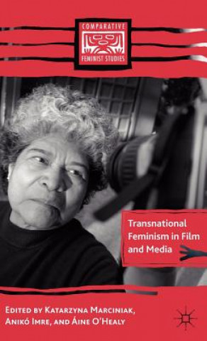 Livre Transnational Feminism in Film and Media Katarzyna Marciniak