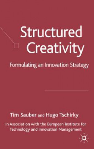 Kniha Structured Creativity Tim Sauber