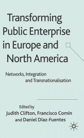 Könyv Transforming Public Enterprise in Europe and North America Judith Clifton