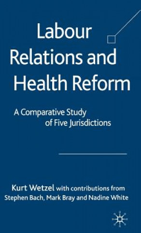 Knjiga Labour Relations and Health Reform Kurt Wetzel