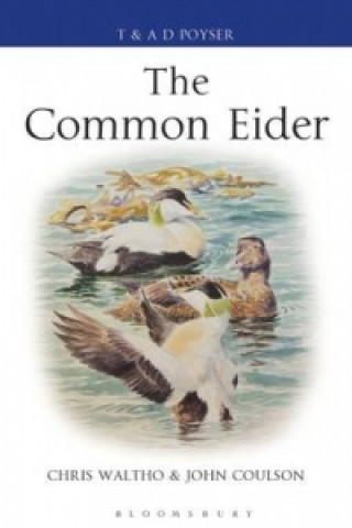 Knjiga Common Eider John C. Coulson