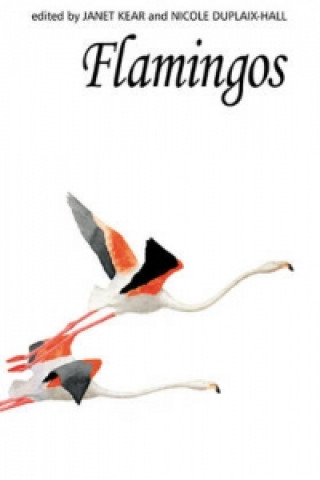 Kniha Flamingos Janet Kear