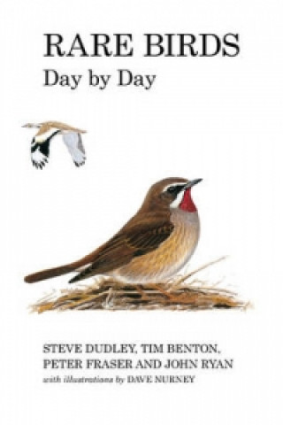 Carte Rare Birds Day by Day Steve Dudley