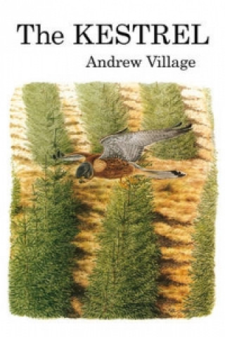 Książka Kestrel Andrew Village