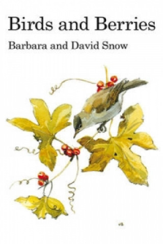 Kniha Birds and Berries Barbara Snow
