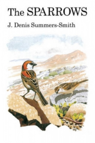 Kniha Sparrows Denis Summers-Smith