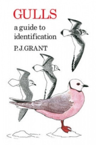 Könyv Gulls: A Guide to Identification. 2nd Edition P.J. Grant