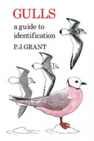 Książka Gulls: A Guide to Identification. 2nd Edition P.J. Grant