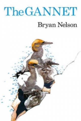 Könyv Gannet Bryan Nelson