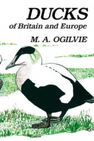 Knjiga Ducks of Britain and Europe Malcolm Ogilvie