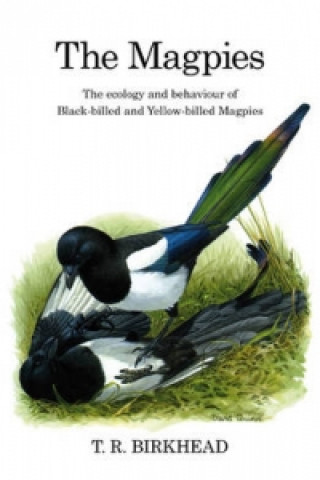 Book Magpies: The Ecology and Behaviour of Black-Billed and Yellow-Billed Magpies Tim Birkhead