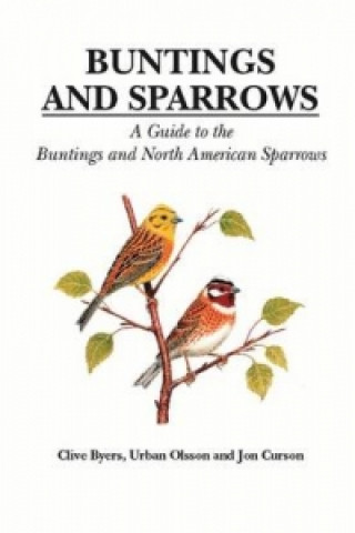 Kniha Buntings and Sparrows Clive Byers