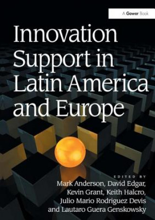 Kniha Innovation Support in Latin America and Europe Mark Anderson