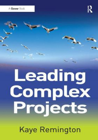 Книга Leading Complex Projects Kaye Remington