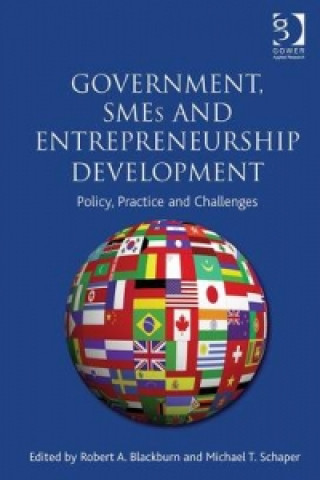 Kniha Government, SMEs and Entrepreneurship Development Michael Schaper