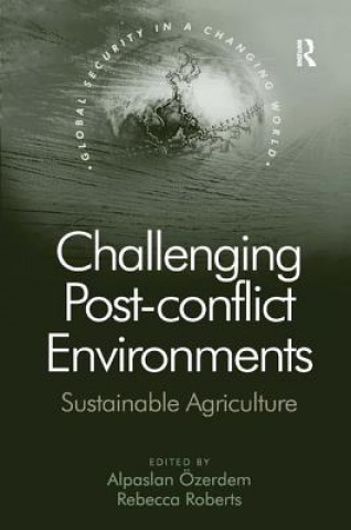 Könyv Challenging Post-conflict Environments Alpaslan Ozerdem