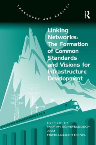 Книга Linking Networks: The Formation of Common Standards and Visions for Infrastructure Development Hans-Liudger Dienel