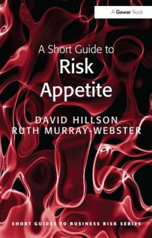 Libro Short Guide to Risk Appetite David Hillson