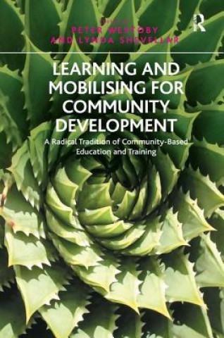 Книга Learning and Mobilising for Community Development Lynda Shevellar