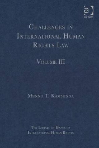 Buch Challenges in International Human Rights Law 