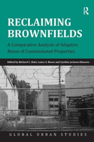 Könyv Reclaiming Brownfields Richard C. Hula