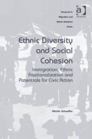 Carte Ethnic Diversity and Social Cohesion Merlin Schaeffer