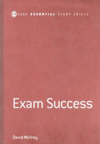 Kniha Exam Success David McIlroy