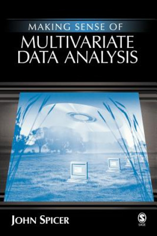 Buch Making Sense of Multivariate Data Analysis John Spicer