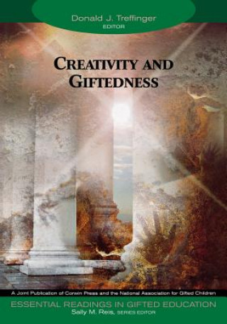 Kniha Creativity and Giftedness Sally M. Reis