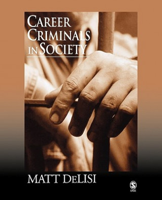 Kniha Career Criminals in Society Matt DeLisi