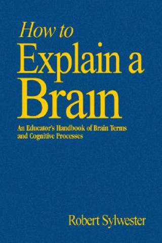 Book How to Explain a Brain Robert Sylwester