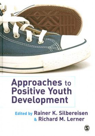 Knjiga Approaches to Positive Youth Development Rainer K Silbereisen