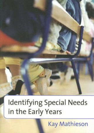 Buch Identifying Special Needs in the Early Years Kay Mathieson