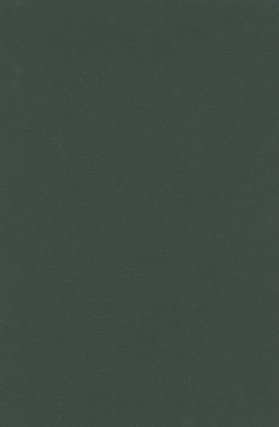 Libro Rethinking Ethnicity Richard P. Jenkins