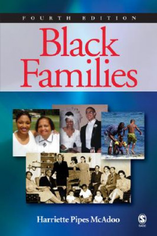 Könyv Black Families Harriette Pipes McAdoo
