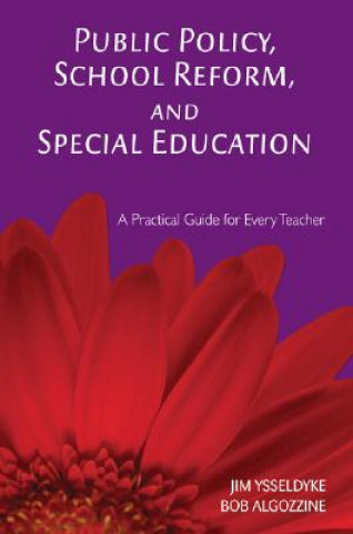 Könyv Public Policy, School Reform, and Special Education James E. Ysseldyke