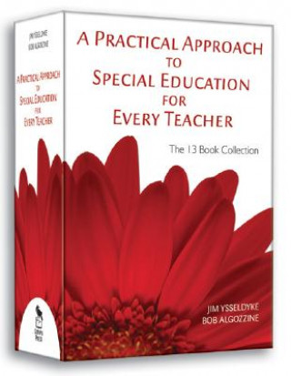 Könyv Practical Approach to Special Education for Every Teacher James E. Ysseldyke