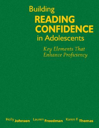Könyv Building Reading Confidence in Adolescents Holly Johnson