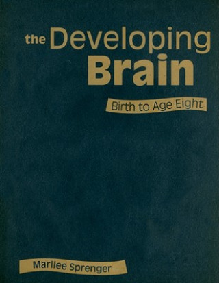 Könyv Developing Brain Marilee B. Sprenger