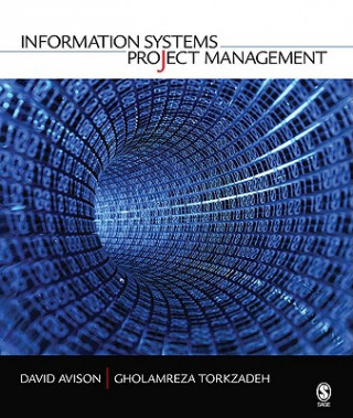 Kniha Information Systems Project Management David E. Avison