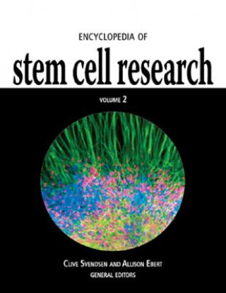 Книга Encyclopedia of Stem Cell Research Clive N. Svendsen