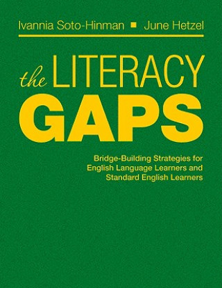 Knjiga Literacy Gaps June Hetzel