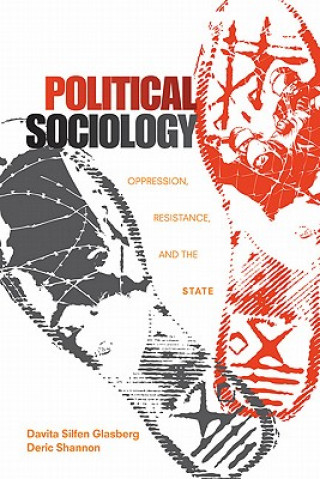 Kniha Political Sociology Davita S. Glasberg