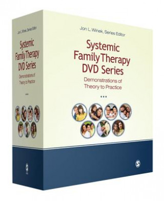 Kniha Systemic Family Therapy DVD Series Jon L. Winek