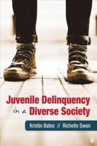 Kniha Juvenile Delinquency in a Diverse Society Kristin A. Bates