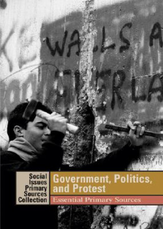 Kniha Government, Politics, and Protest K. Lee Lerner